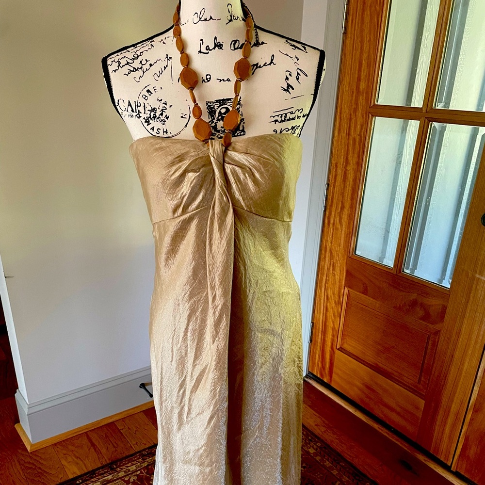 GORGEOUS long dress with beautiful neckline. Size 10. NWOT.